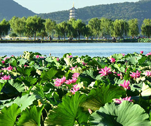 杭州西湖一日游