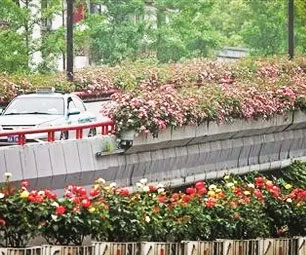 打造“迎亚运”精品工程让杭城高架景观四季绚丽夺目