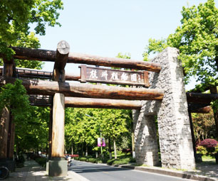 杭州植物园风景美图
