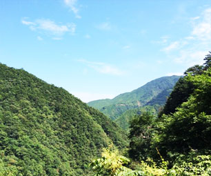 龙王山风景美图