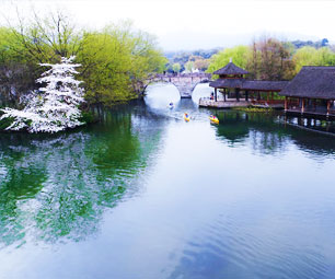亲测杭州小众赏樱地，待到山花烂漫时，一起去看樱花吧