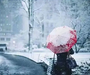 杭州明天雨雪止步 阳光短时回归