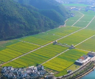 杭州版未来乡村建设指南