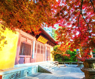 慧因高丽寺