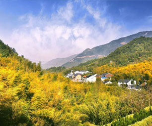 余杭区黄湖镇青山村