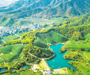 西湖区转塘街道长埭村