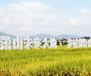 萧山区临浦镇横一村