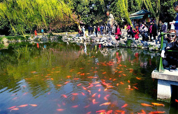 西湖十景《花港观鱼》