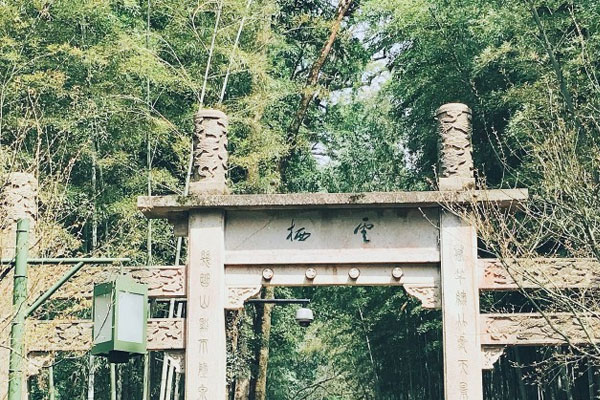 杭州云栖竹径风景美图