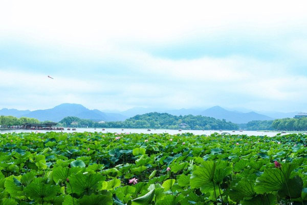 来杭州必玩，游西湖秘籍攻略