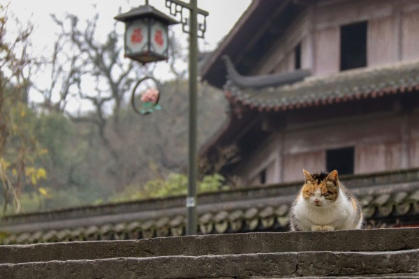 六和塔