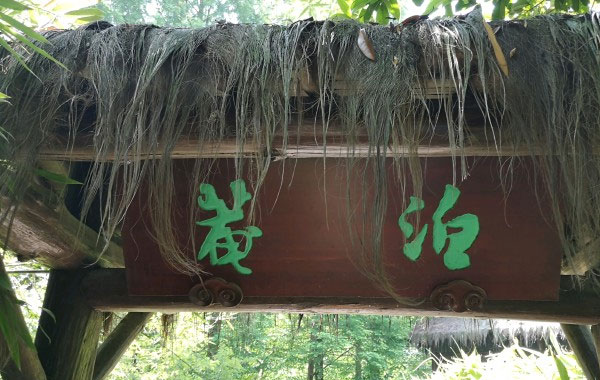 西溪草堂风景图片