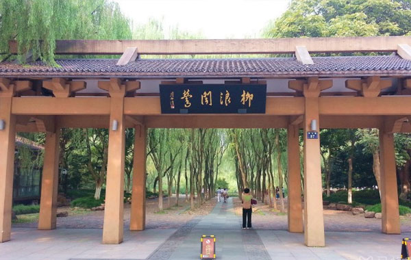 柳浪闻莺风景美图
