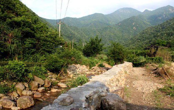 杏梅尖风景美图