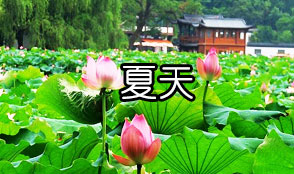 夏季(六月中旬至九月)