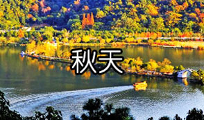 秋季(10月至12月初)