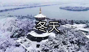 冬季(12月中旬至2月)