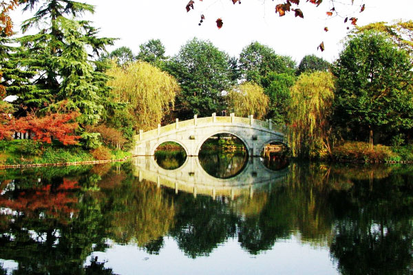 杨堤景行