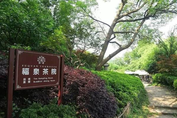 福泉茶院
