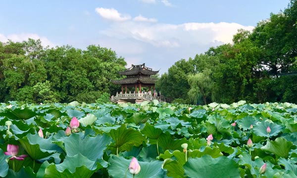 杭州夏季旅游玩法