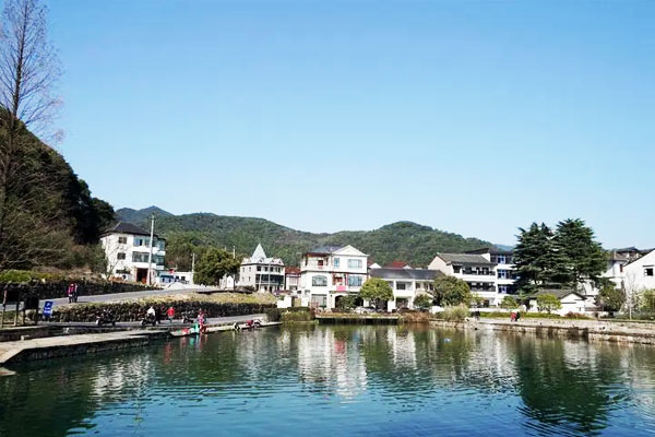 进化镇