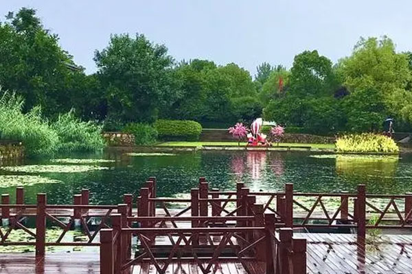 东关荷塘
