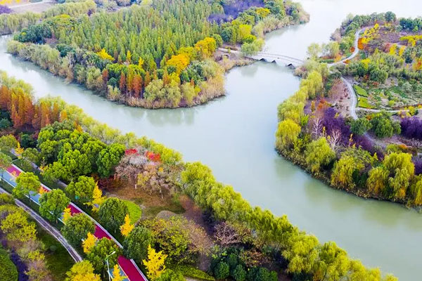 杭州湿地植物园