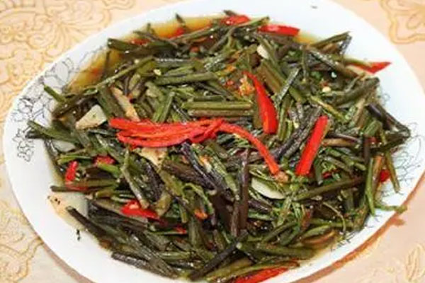 千岛玉鳖