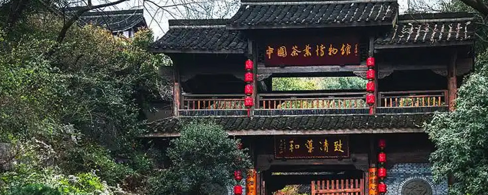 杭州西湖龙井茶博物馆